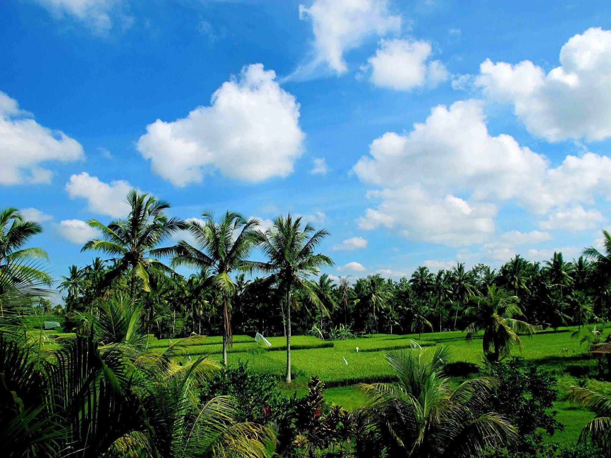Puri Suksma Ubud מראה חיצוני תמונה